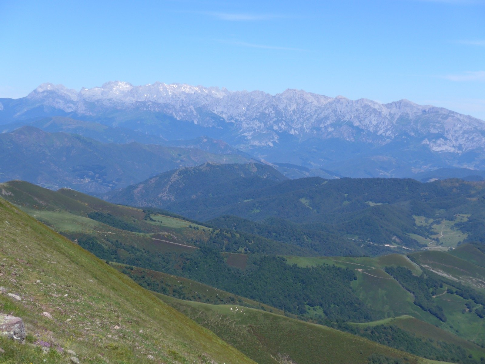 Picos de Europa